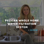 whole home water filtration system best