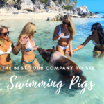 best boat company to feed swimming pigs exam